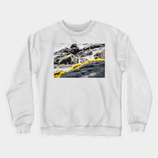 Black-crowned night heron of hawaii Crewneck Sweatshirt